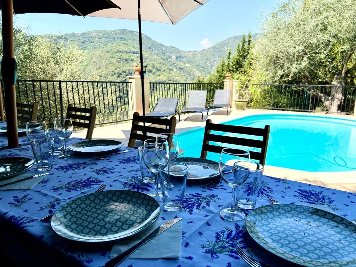 Entre Nice Et Monaco Grande Villa Avec Piscine Privee 12 Personnes Drap Luaran gambar