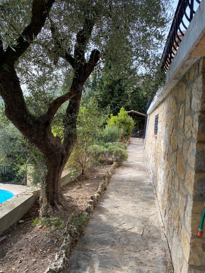 Entre Nice Et Monaco Grande Villa Avec Piscine Privee 12 Personnes Drap Luaran gambar