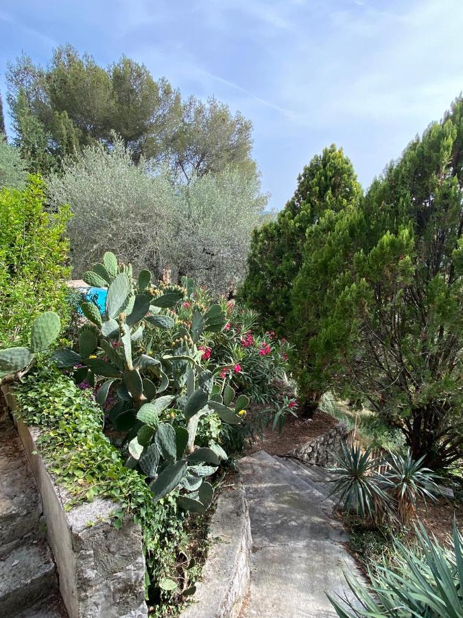 Entre Nice Et Monaco Grande Villa Avec Piscine Privee 12 Personnes Drap Luaran gambar