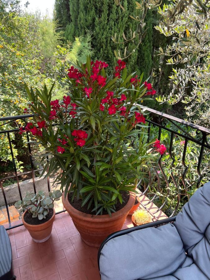 Entre Nice Et Monaco Grande Villa Avec Piscine Privee 12 Personnes Drap Luaran gambar
